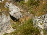 Rifugio Dibona - Tofana di Rozes